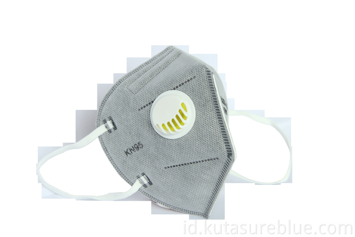 N95 Disposable Mask